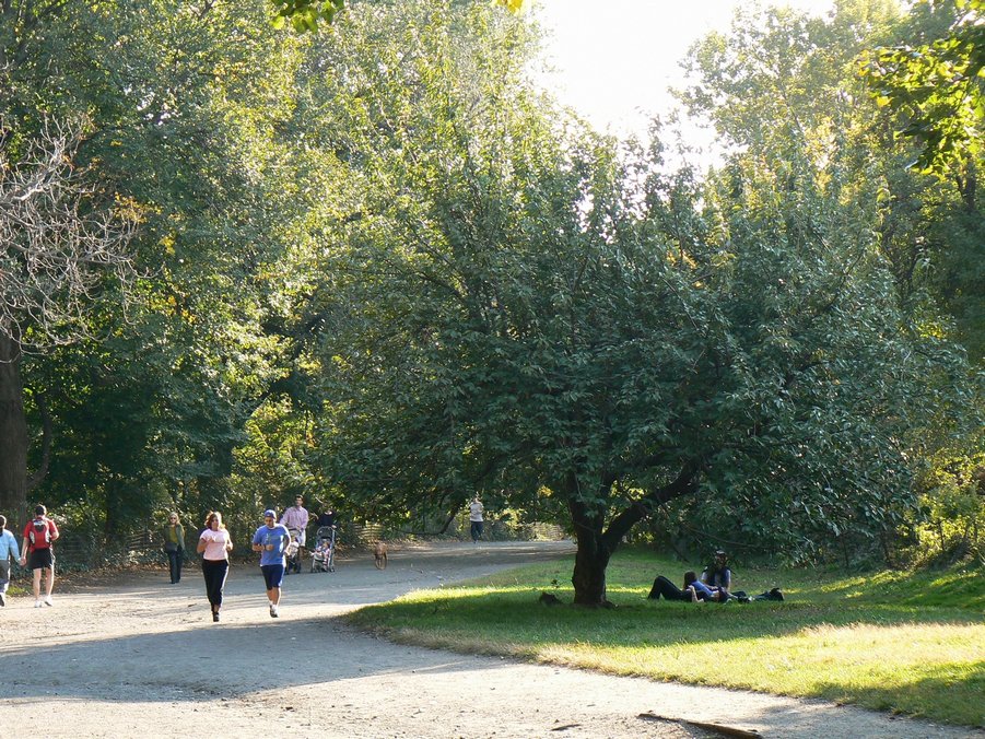 Central Park: Central Park 046
